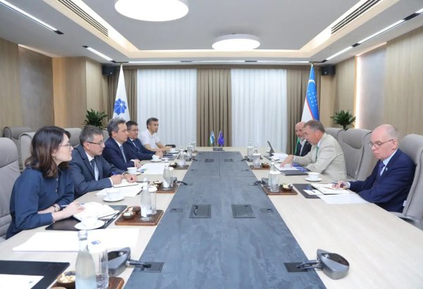 Uzbekistan and EU casting their nets to uncover golden opportunities for digital projects