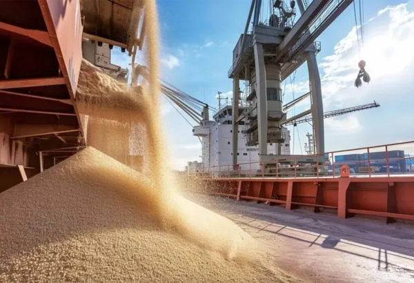 Kazakhstan boosts wheat exports with strong demand from Central Asia and China