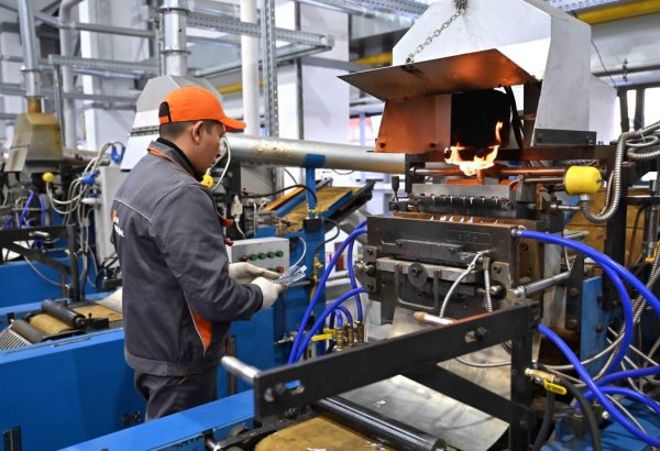 Private sector drives significant economic growth in Kazakhstan's Zhetysu