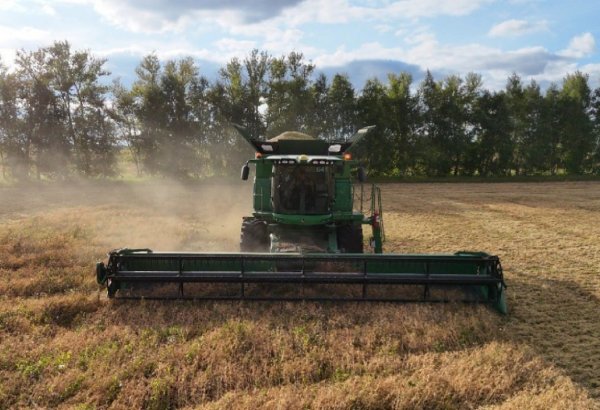 North Kazakhstan prepares to complete major harvest campaign in 2025