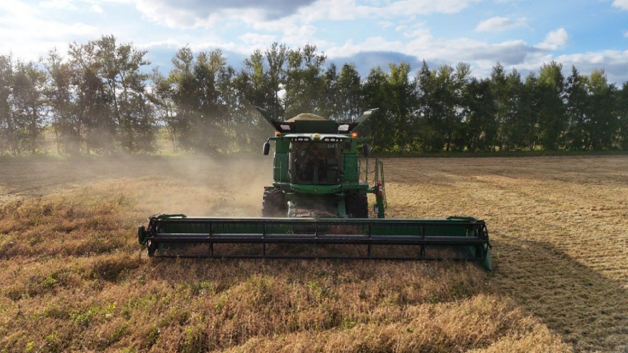 North Kazakhstan prepares to complete major harvest campaign in 2025