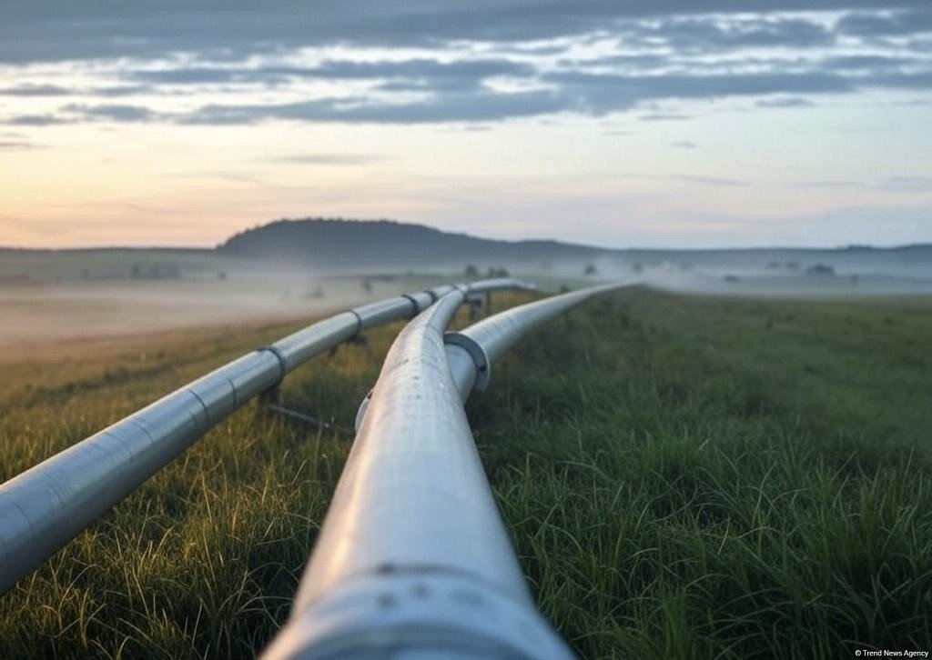 Azerbaijan sees decrease in main oil pipeline transportations for 7M2025