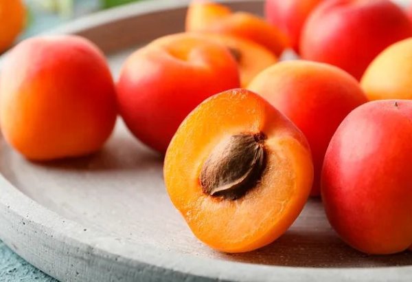 Russia, Kazakhstan, and Kyrgyzstan lead in imports of Uzbek apricots