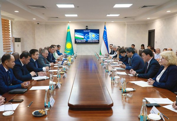 Uzbekistan, Kazakhstan lean towards tighter bond in nuclear cooperation