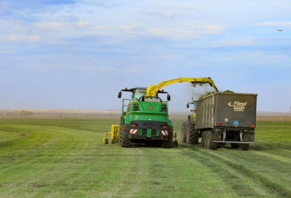 Kazakhstan's Aktobe begins food security and price stability harvest campaign