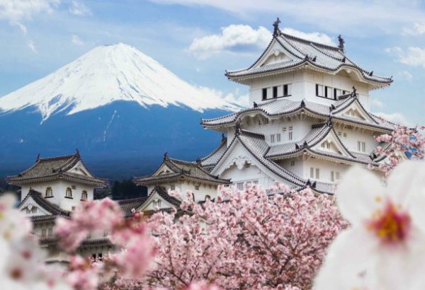 Japan rolling out red carpet for surge of visitors from Uzbekistan