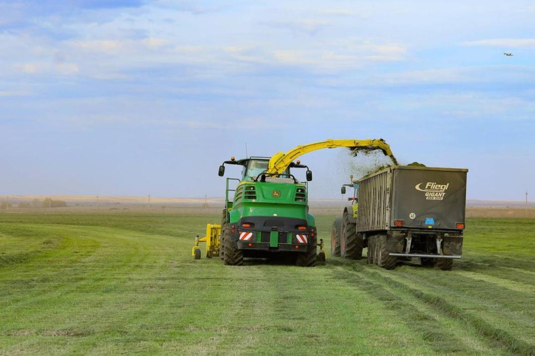 Kazakhstan's Aktobe begins food security and price stability harvest campaign