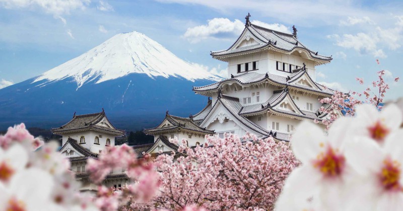 Japan rolling out red carpet for surge of visitors from Uzbekistan