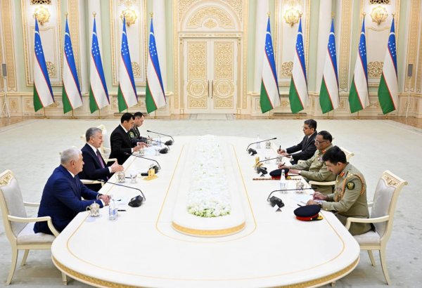 Uzbekistan, Pakistan discuss Trans-Afghan railway project