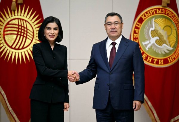 Kyrgyz President meets head of Uzbekistan’s presidential administration