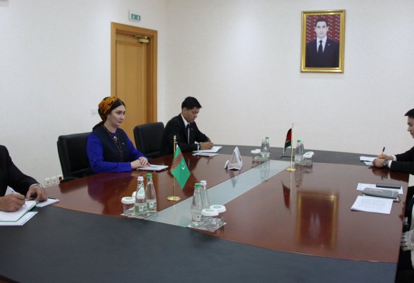 Turkmen deputy FM meets Palestinian ambassador to discuss bilateral co-op