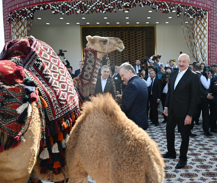 President Ilham Aliyev presented with Akhal-Teke horse (PHOTO/VIDEO)
