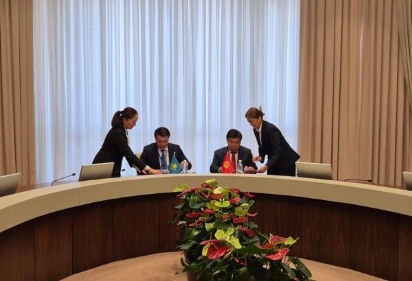 Kazakhstan, Kyrgyzstan set to modernize border with digital queue system