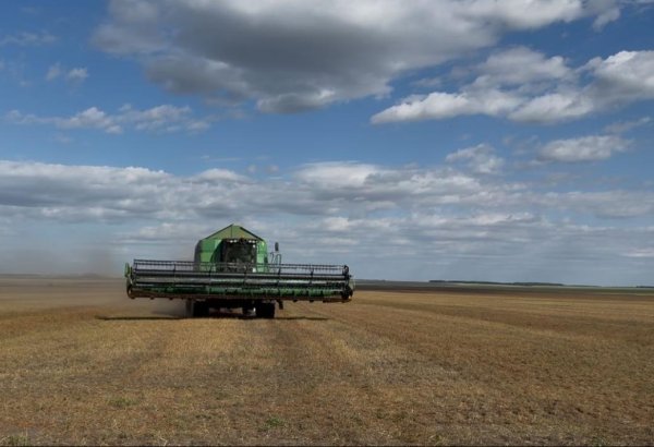 Kazakhstan sees significant advancement in grain harvest nationwide