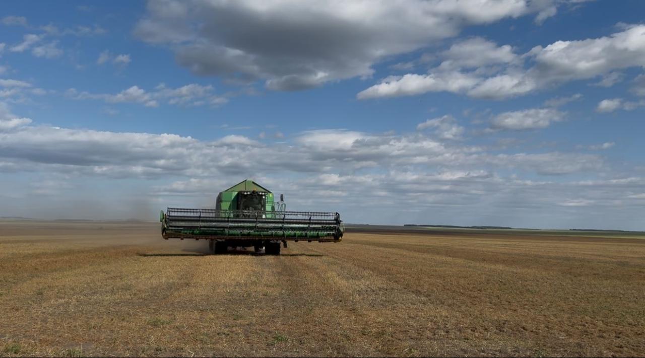 Kazakhstan sees significant advancement in grain harvest nationwide