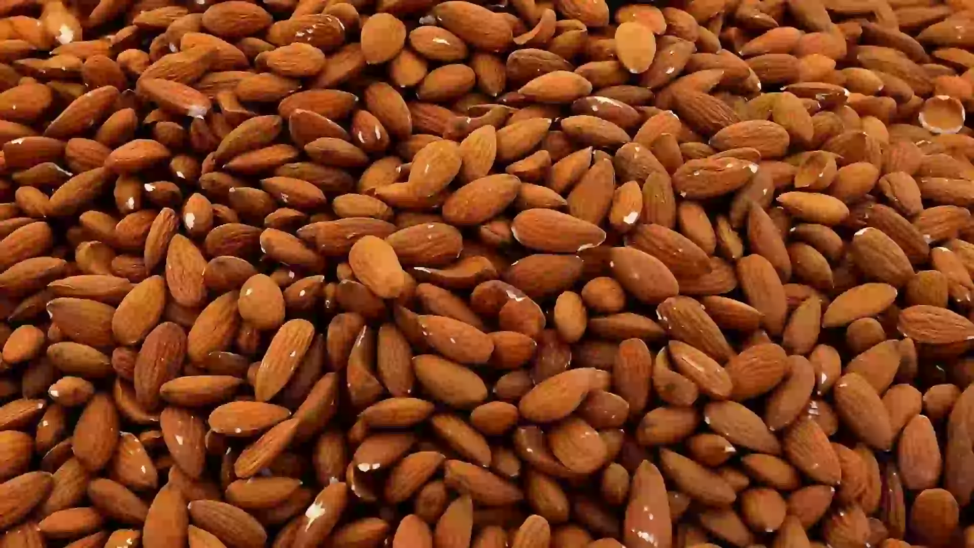 Turkmenistan embraces Spanish innovation in new almond harvest