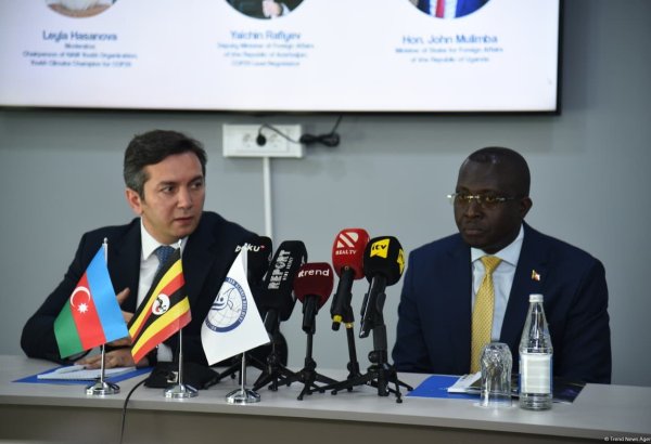 Azerbaijan’s NAM chairmanship marks milestone in foreign policy, deputy FM says