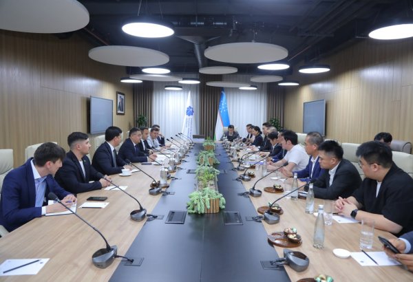 China ready to enhance e-commerce cooperation with Uzbekistan