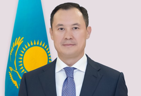 Power generation among key areas of Kazakhstan-Türkiye energy cooperation, vice minister says