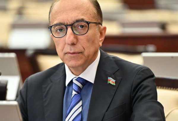 Azerbaijani MP calls for apology from states with colonial past