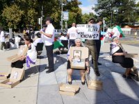 Azerbaijani families of missing persons hold first protest abroad (PHOTO/VIDEO)