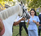 "Horsepower" - Classic car parade and chovgan game held (PHOTO)