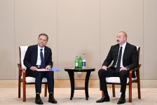 President Ilham Aliyev meets acting head of China Energy Engineering Corporation Limited Ni Zhen (PHOTO/VIDEO)
