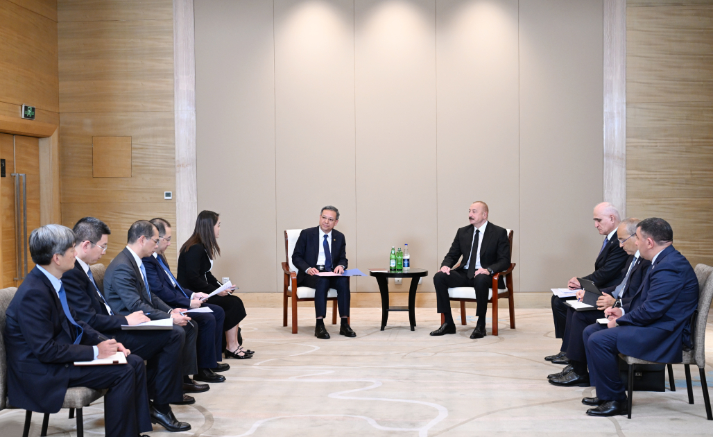 President Ilham Aliyev meets acting head of China Energy Engineering Corporation Limited Ni Zhen (PHOTO/VIDEO)
