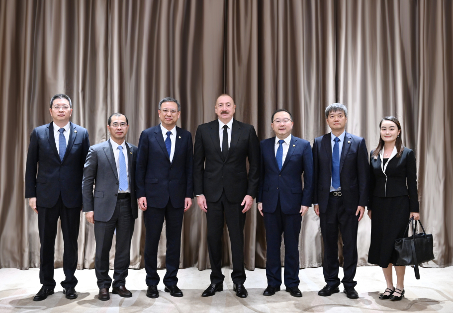 President Ilham Aliyev meets acting head of China Energy Engineering Corporation Limited Ni Zhen (PHOTO/VIDEO)