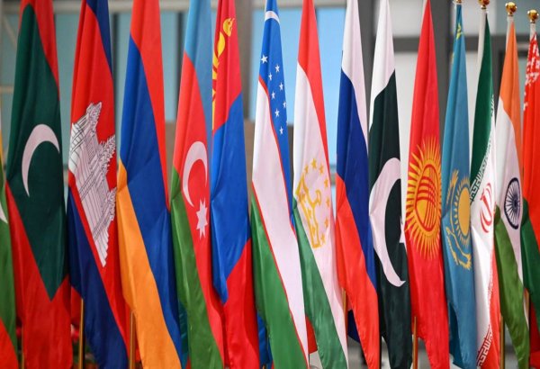 From renewables to Middle Corridor - Central Asia's outlook within SCO