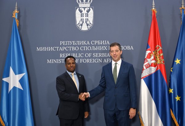 Serbia, Somalia discuss deeper cooperation across multiple sectors (PHOTO)