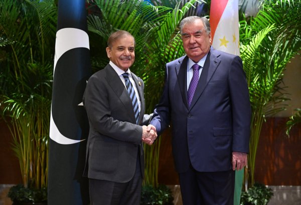 Tajikistan, Pakistan rolling up their sleeves to rocket energy cooperation