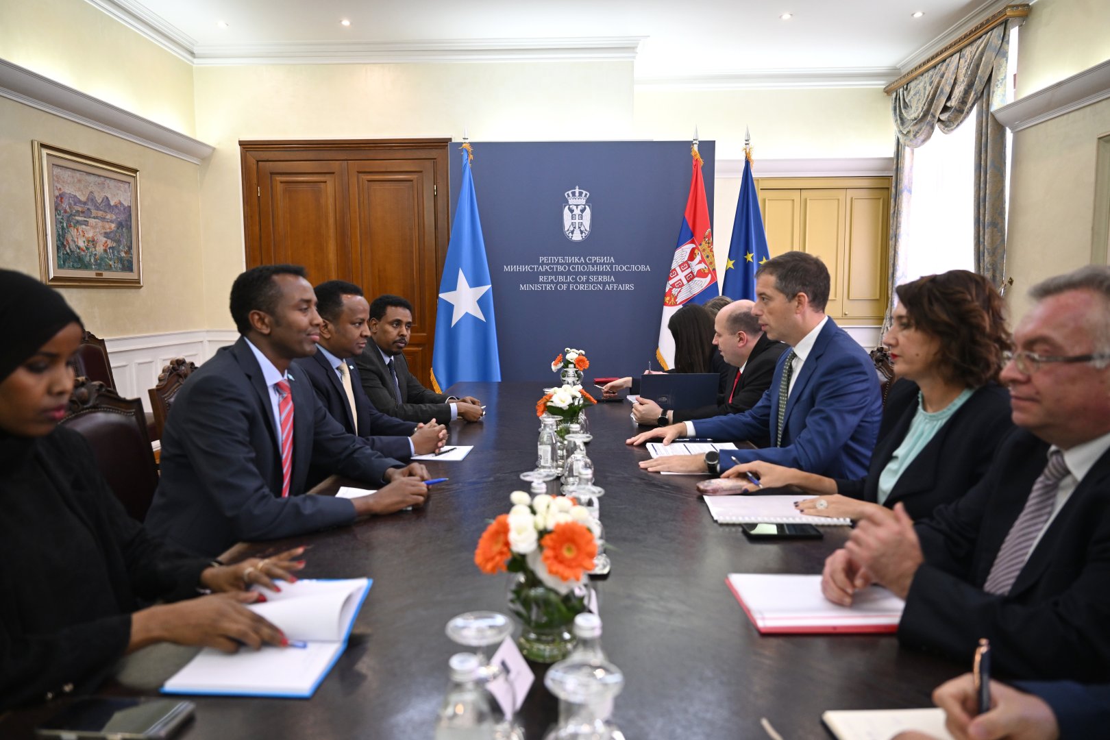 Serbia, Somalia discuss deeper cooperation across multiple sectors (PHOTO)