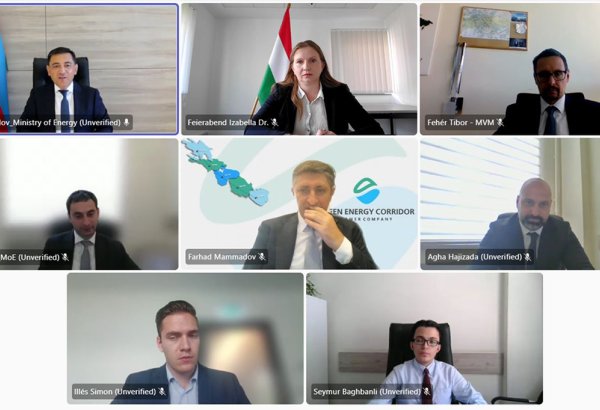 Azerbaijan and Hungary mull over green energy cooperation avenues