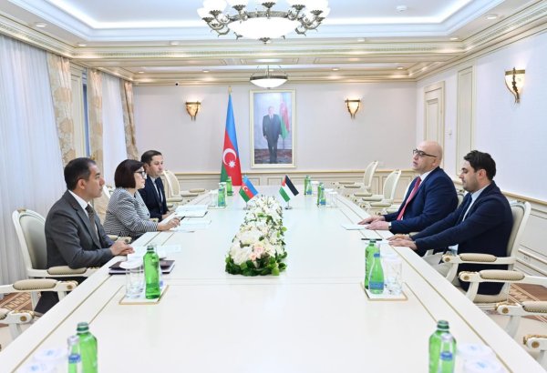 Azerbaijan, Palestine explore parliamentary cooperation on int'l platforms (PHOTO)