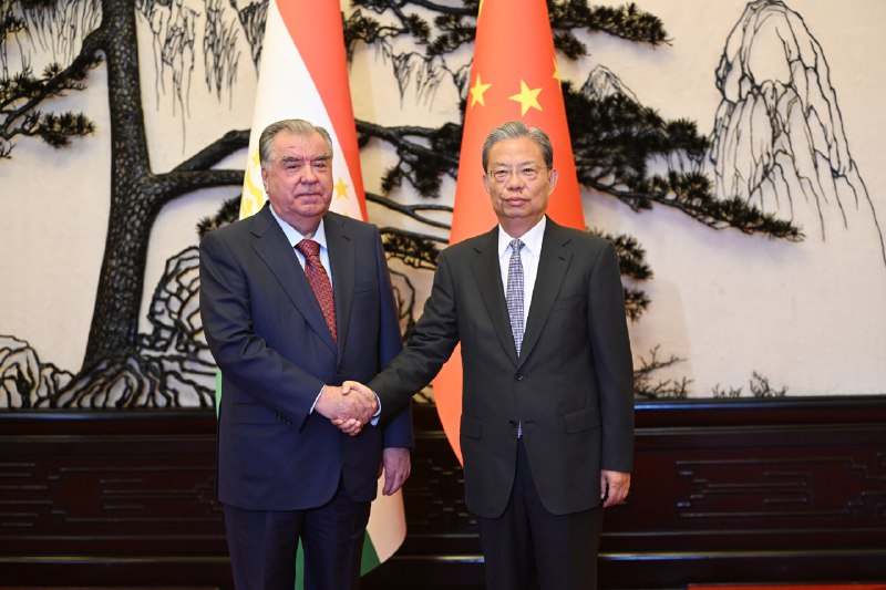 Tajikistan, China take stock of their partnership under Belt and Road Initiative