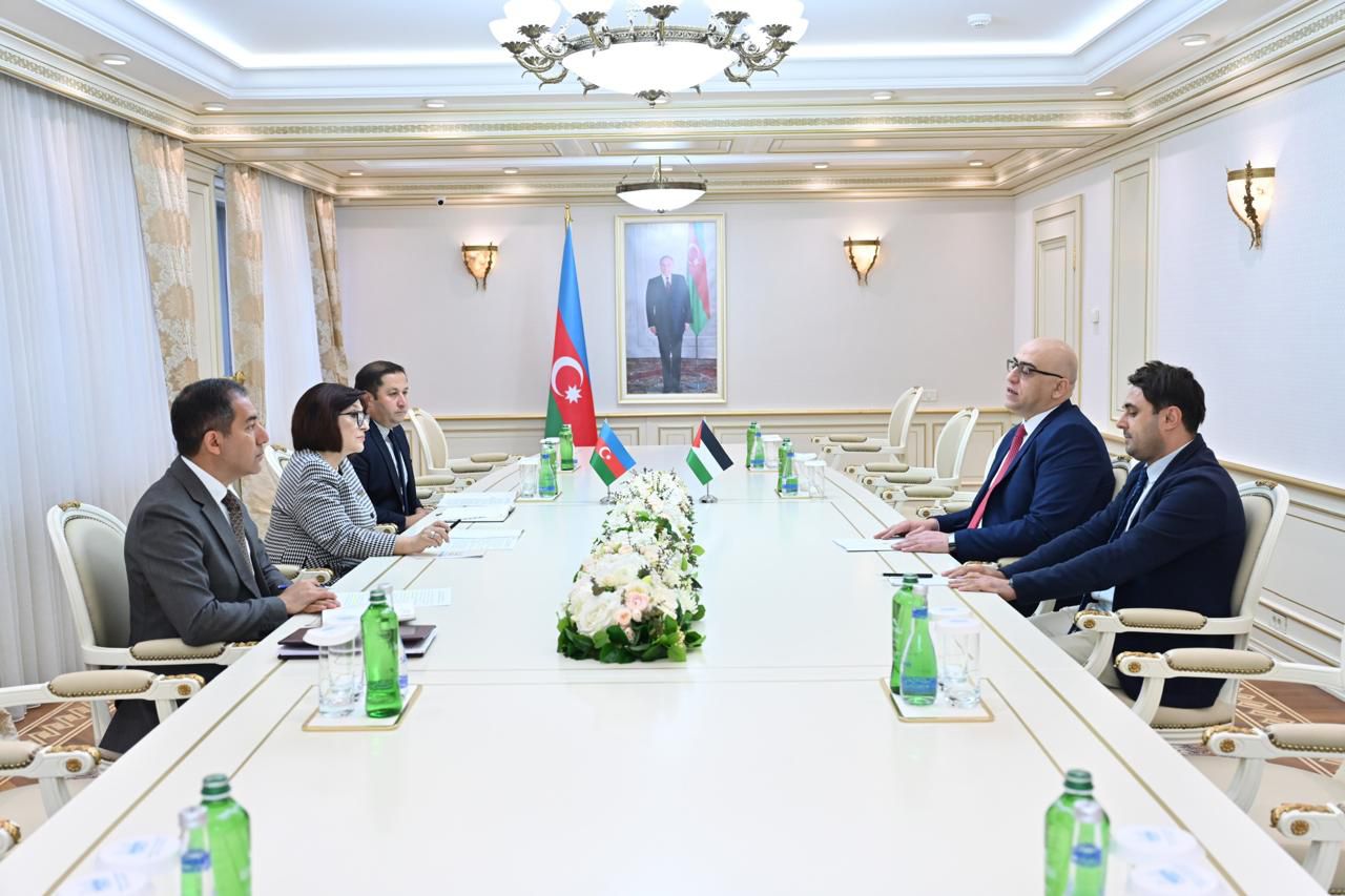 Azerbaijan, Palestine explore parliamentary cooperation on int'l platforms (PHOTO)