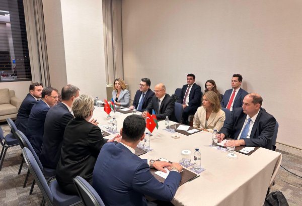 Azerbaijan parleys collaboration capacities with wind power firms in Turkish Izmir (PHOTO)