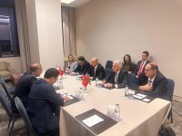 Azerbaijan parleys collaboration capacities with wind power firms in Turkish Izmir (PHOTO)
