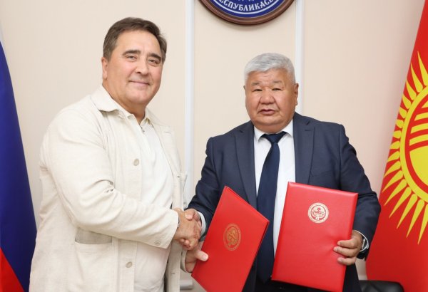 Tatarstan’s company in Russia ready to cooperate with Kyrgyzstan in energy sector