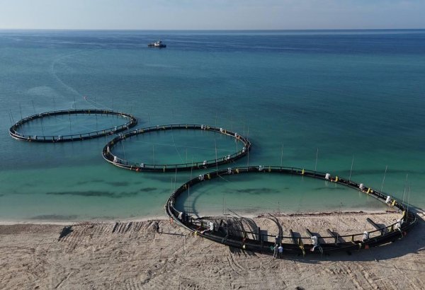 Kazakhstan initiates its inaugural marine aquaculture venture in Central Asia
