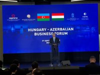 Budapest hosts Azerbaijan-Hungary business forum (PHOTO)