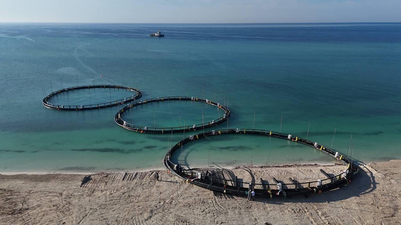 Kazakhstan initiates its inaugural marine aquaculture venture in Central Asia