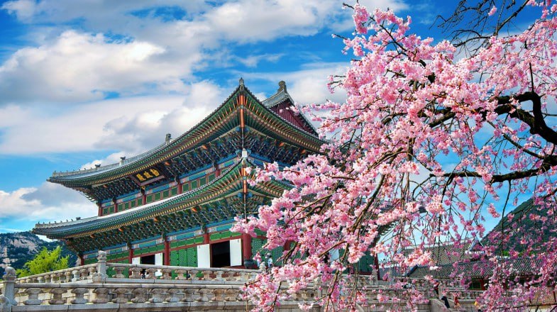 Uzbekistan’s South Korea travel scene heats up with rapid uptick