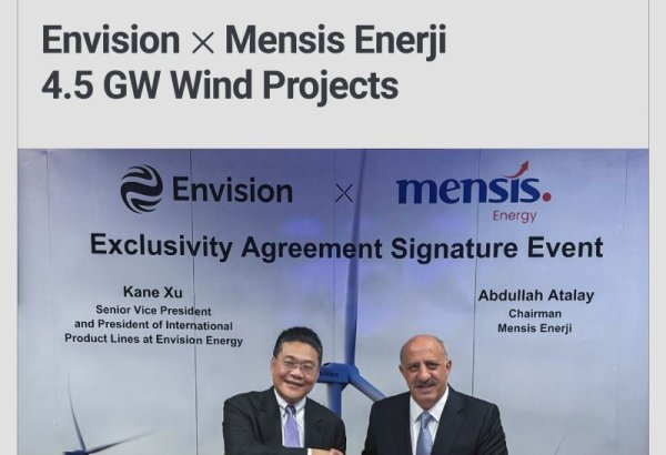 Chinese, Turkish companies join forces on wind energy project