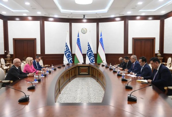 Uzbekistan, OSCE discuss Afghanistan’s integration into regional markets