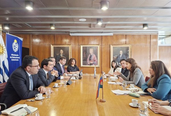 Azerbaijan, Uruguay looking into new ways to team up on economic cooperation