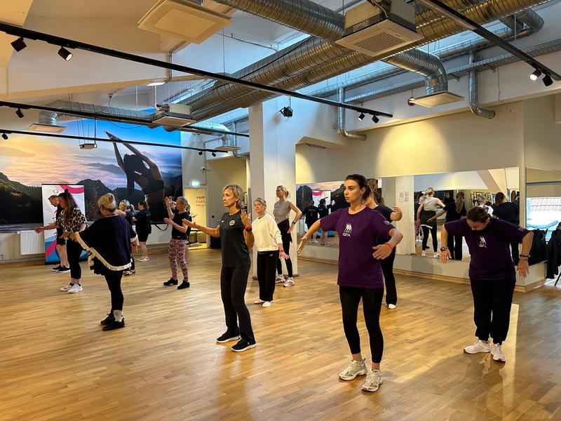 Azerbaijan attends "Gymnastics for All" trainings in Estonia's Tallinn (PHOTO)