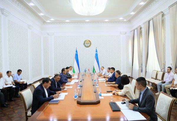 Chinese company eyes transformative projects in Uzbekistan's Fergana region