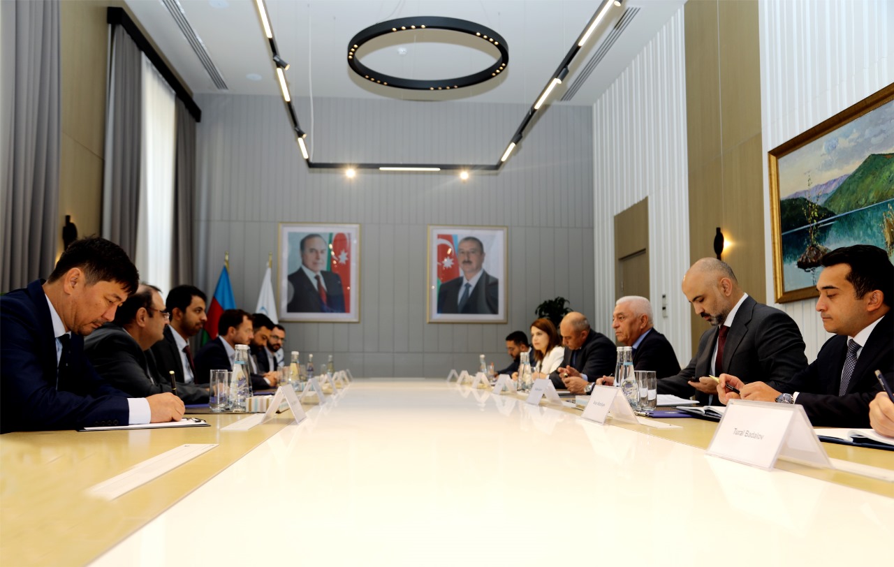 Azerbaijan's Azerenergy and UAE's Masdar hold discussions on renewable plants